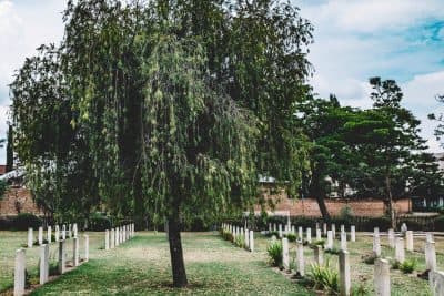 Grieving A Brother Who Caused So Much Suffering