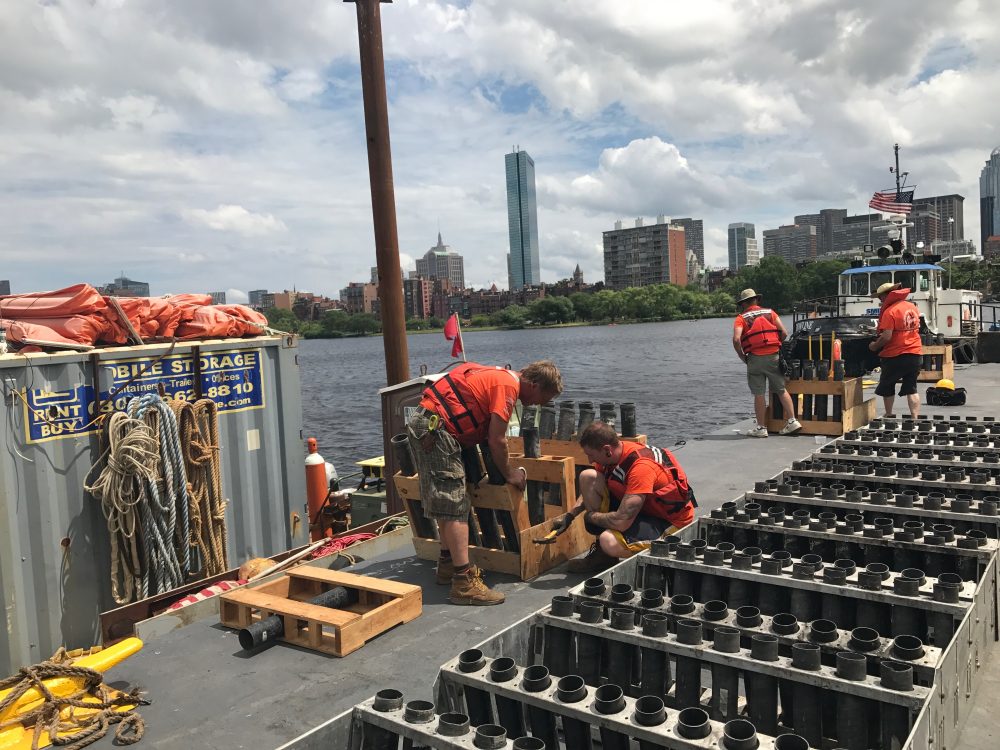 Workers hammer together wooden racks to mount mortars into which fireworks shells will be loaded later. (Jeremy D. Goodwin for WBUR)