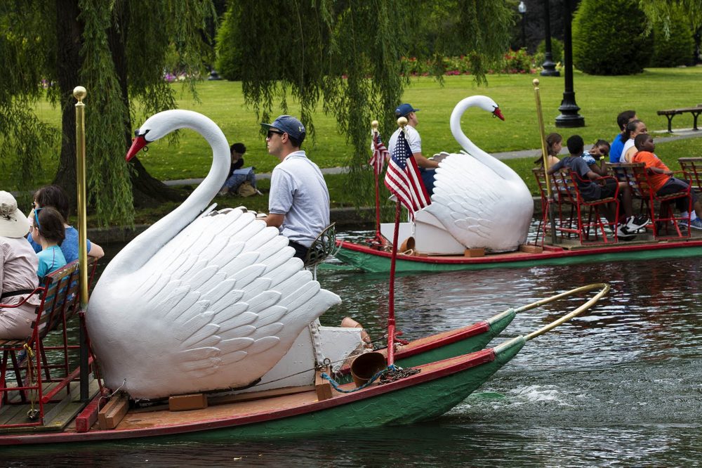 Swan boats in the Boston Public Garden pond. (Jesse Costa/WBUR)