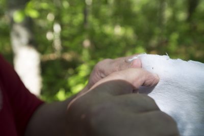 7 Things I Learned While Reporting On Lyme And Other Tick-Borne Diseases