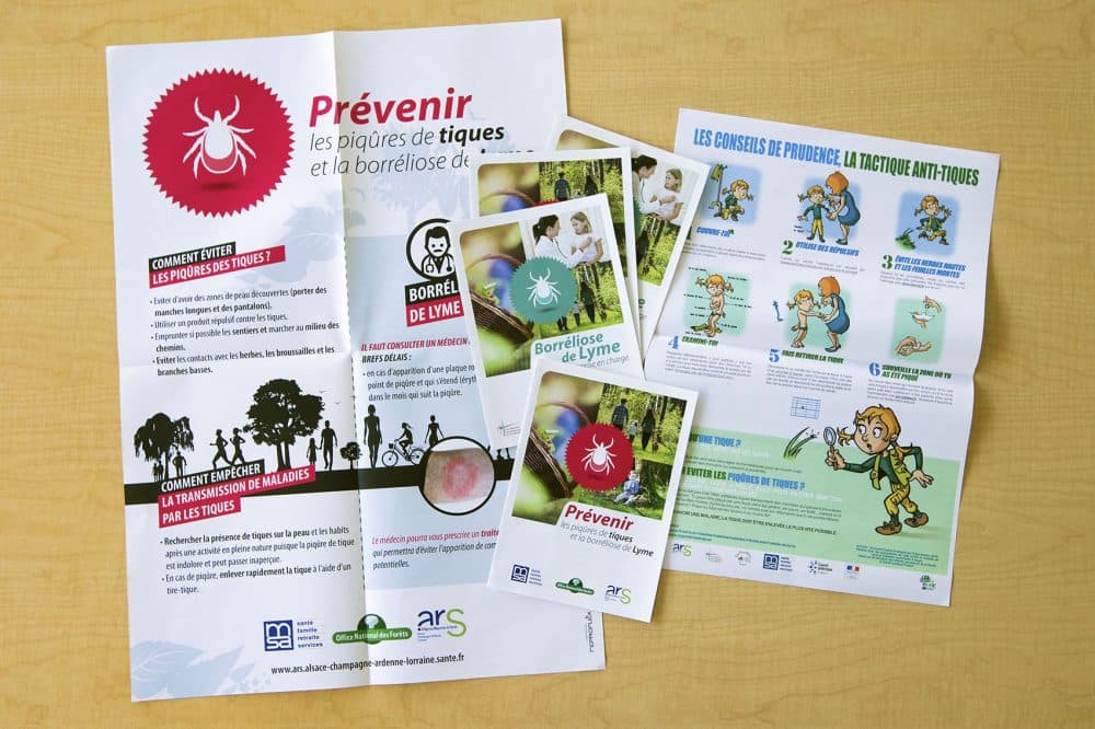 Tick and Lyme disease prevention posters and pamphlets from France. (Jesse Costa/WBUR)