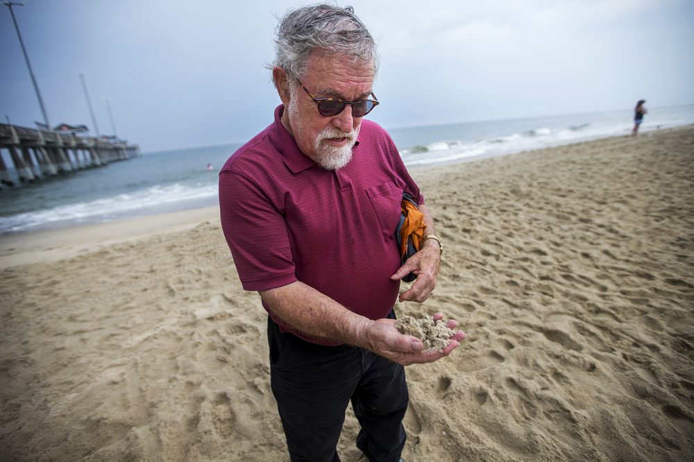 Orrin Pilkey, of Duke University, examines the health of a handful of sand on Nags Head Beach. (Jesse Costa/WBUR)