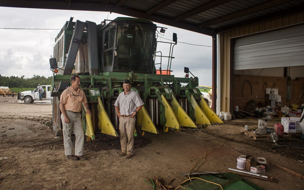 Farmers Chism Craig and John McKee talk shop next to a cotton picker on McKee's farm. (Caleb Shiver for WBUR)