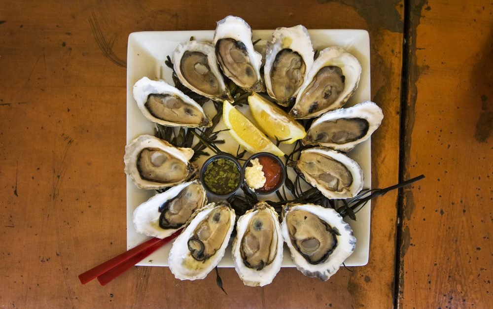 A dozen Wellfleet oysters served at Mac's Shack in Wellfleet (Jesse Costa/WBUR)