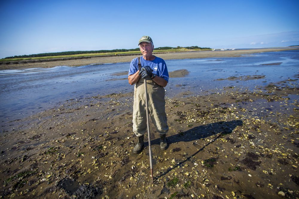 Bob Wallace, owner of Billingsgate Shellfish in Wellfleet, stands on Old Wharf Point. (Jesse Costa/WBUR)