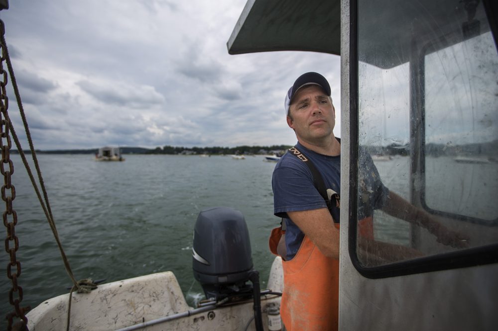 Ben Lloyd, an oyster grower and founder of Pangea Shellfish, navigates towards &quot;Home Base&quot; -- a floating dock on Duxbury Bay. (Jesse Costa/WBUR)