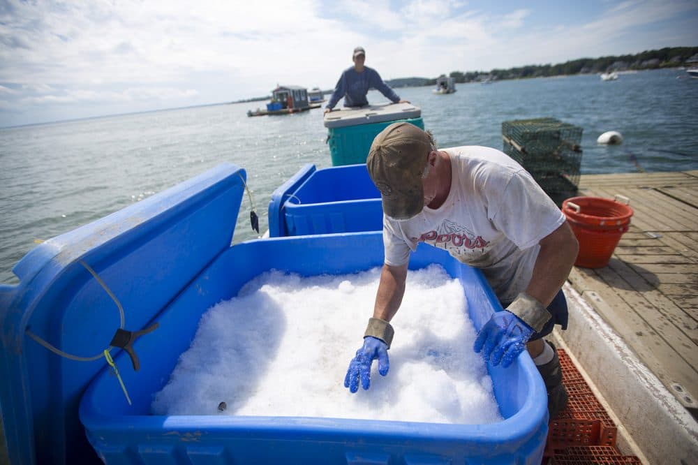 With 15 minutes to spare, this cooler of oysters is packed and ready to ship. (Jesse Costa/WBUR)