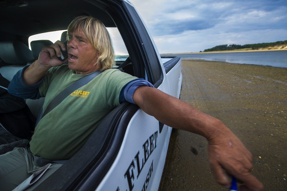 Wellfleet's assistant shellfish constable, John Mankevetch, is on “Vibrio Patrol.” (Jesse Costa/WBUR)