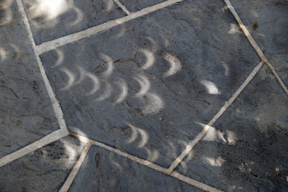 Projected images of the eclipse are seen through leaves along on the sidewalk at the White House. (Alex Brandon/AP)
