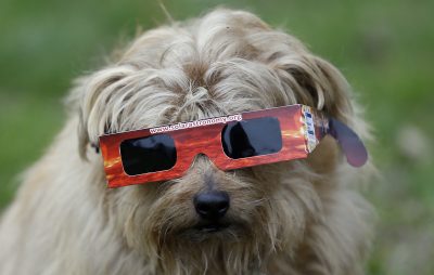 What To Know About Watching The Solar Eclipse In Mass.
