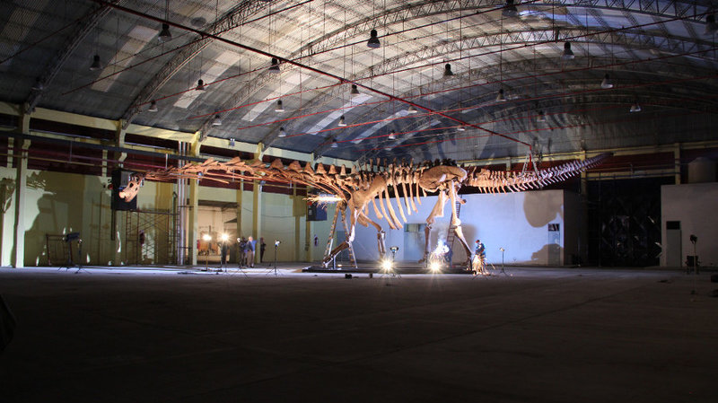 The titanosaur, seen here nearly spanning the width of a hangar, is considered the largest known dinosaur in the world. (D. Pol/Courtesy of the Museo Paleontologico Egidio Feruglio)