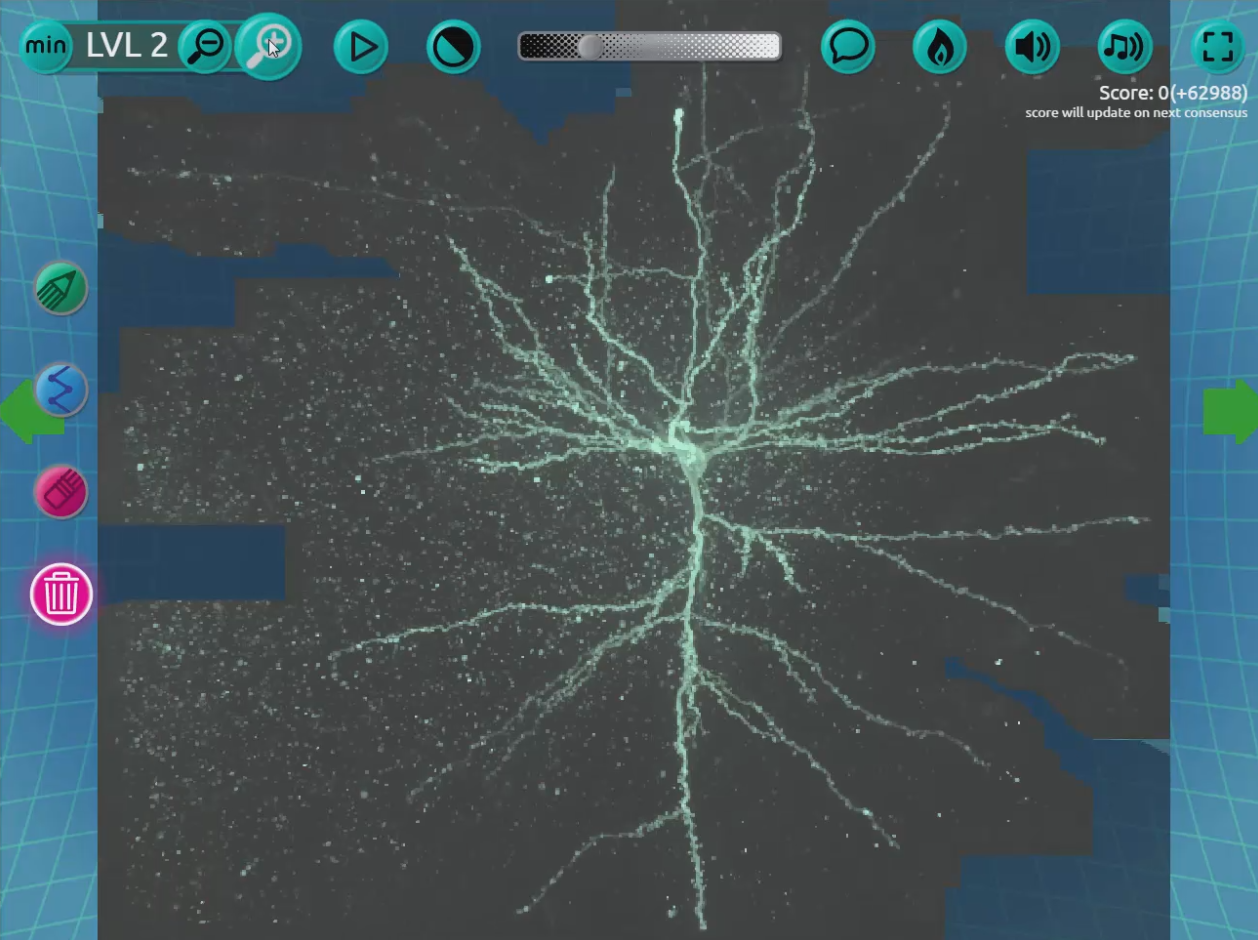 Call it "citizen neuroscience," games like the new "Mozak" -- akin to a very challenging connect-the-dots as you trace a neuron -- let you contribute to brain science as you play. (Courtesy)