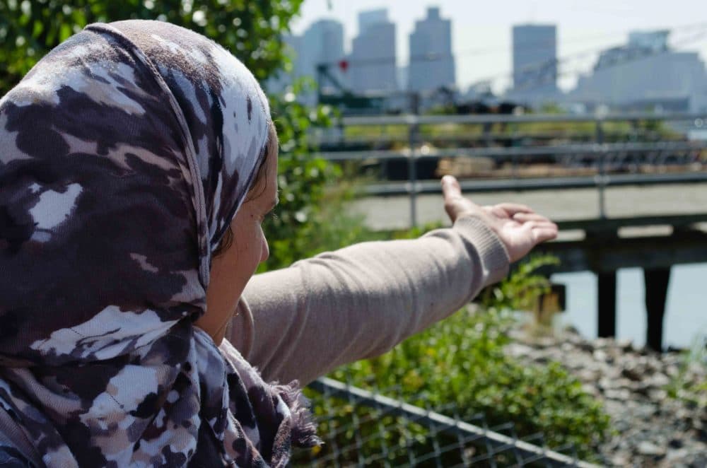 Magdalena Ayed, a grassroots activist in East Boston, stands on the city's &quot;harborwalk&quot; behind Shaw's supermarket. (Elizabeth Gillis/WBUR)