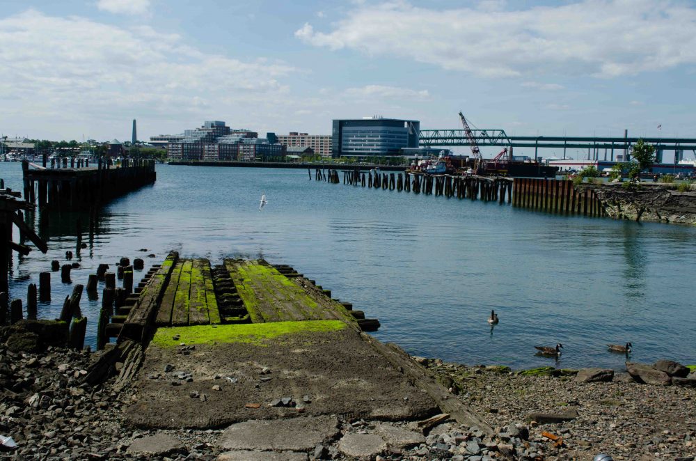 City-owned harbor property behind Shaw's in East Boston. (Elizabeth Gillis/WBUR)