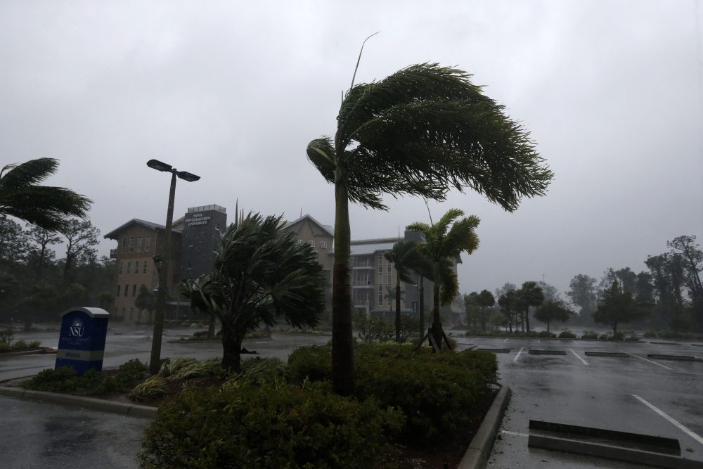 Trees blow in the wind as Hurricane Irma arrives, in Fort Myers, Fla., Sunday, Sept. 10, 2017. (Gerald Herbert/AP)