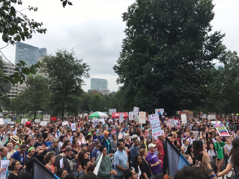 The crowd grew to hundreds on Saturday at Boston Common. (Kassandra Sundt /WBUR)