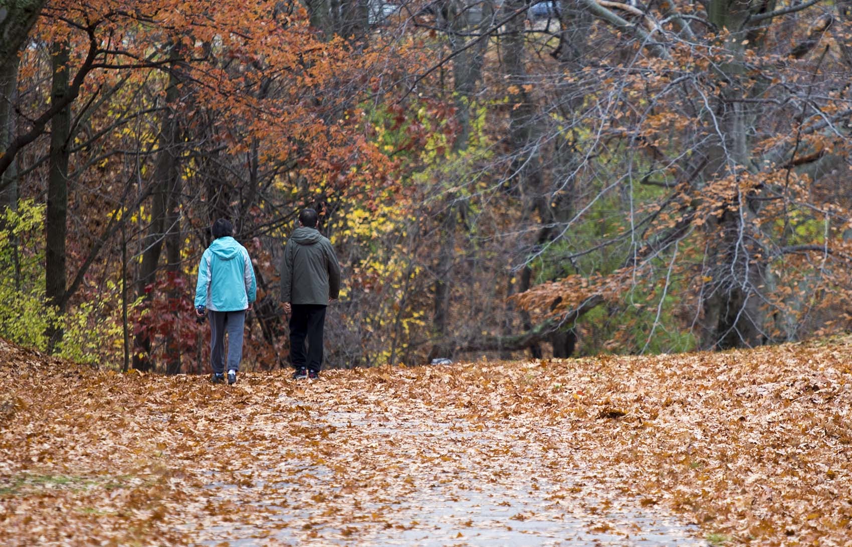 A couple out for a autumn walk near Jamaica Pond (Jesse Costa/WBUR)