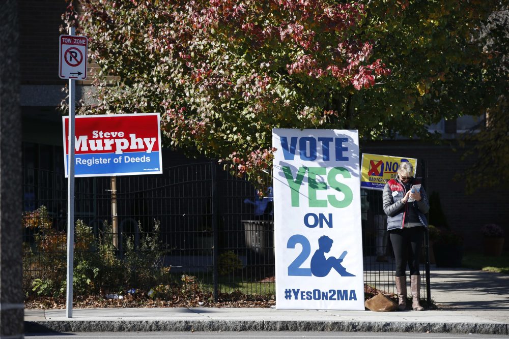 A sign promoting a ballot question to eliminate the cap on charter schools is seen outside a polling station in Dudley Square in Boston, Tuesday, Nov. 8, 2016. (Michael Dwyer/AP)