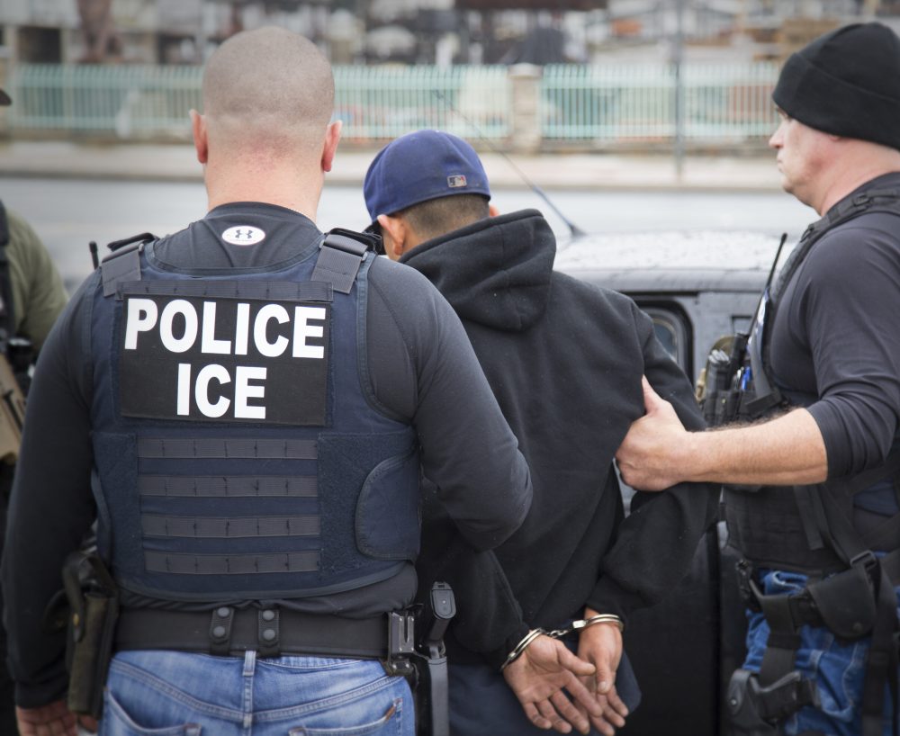 (Charles Reed/U.S. Immigration and Customs Enforcement via AP)