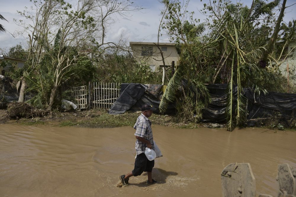 A resident walks on a flooded road after the passing of Hurricane Maria, in Toa Baja, Puerto Rico, Friday, September 22, 2017. (Carlos Giusti/AP)
