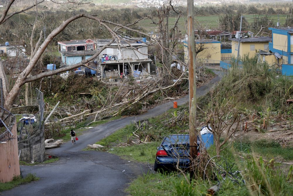 The aftermath of Hurricane Maria, in Yabucoa, Puerto Rico, on Tuesday (Gerald Herbert/AP)