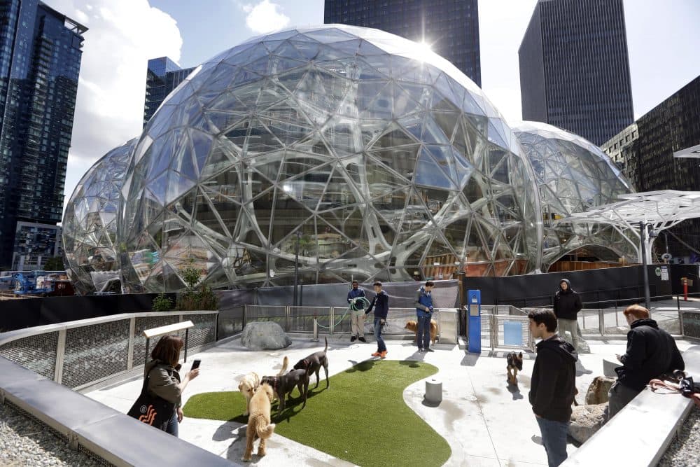 Amazon employees tend to their dogs in a canine play area adjacent to where construction continues on three large, glass-covered domes as part of an expansion of the Amazon.com campus in downtown Seattle this year. (Elaine Thompson/AP)