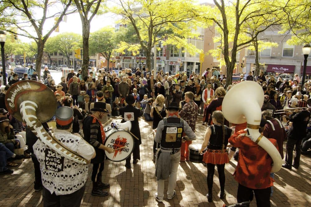 A band playing in Davis Square during the HONK! Festival. (Courtesy Jesse Edsell-Vetter)