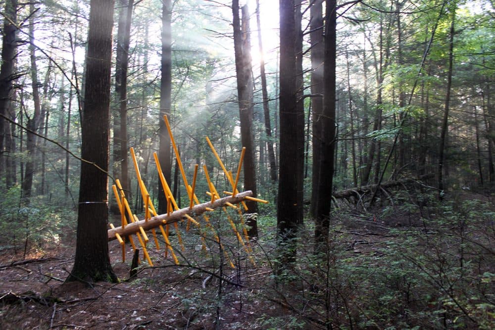 The &quot;Exchange Tree&quot; -- created by David Buckley Borden, Dr. Aaron Ellison, Salvador Jimenez-Flores and Salua Rivero -- is one of the 12 Hemlock Hospice installations. (Courtesy Harvard Forest)