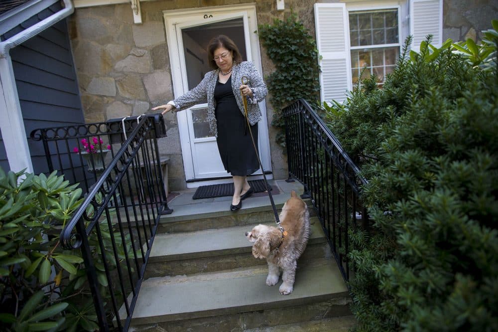 Katie Herzog takes a walk with her dog, Pippen. (Jesse Costa/WBUR)