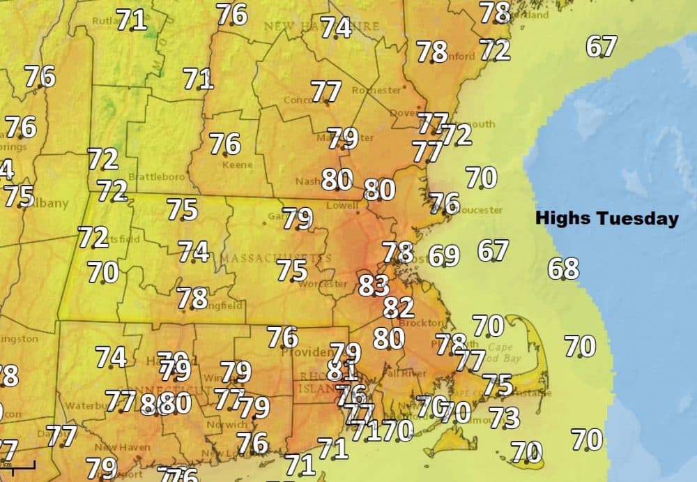 Highs Tuesday will reach near 80 in much of Greater Boston. (Dave Epstein/WBUR)