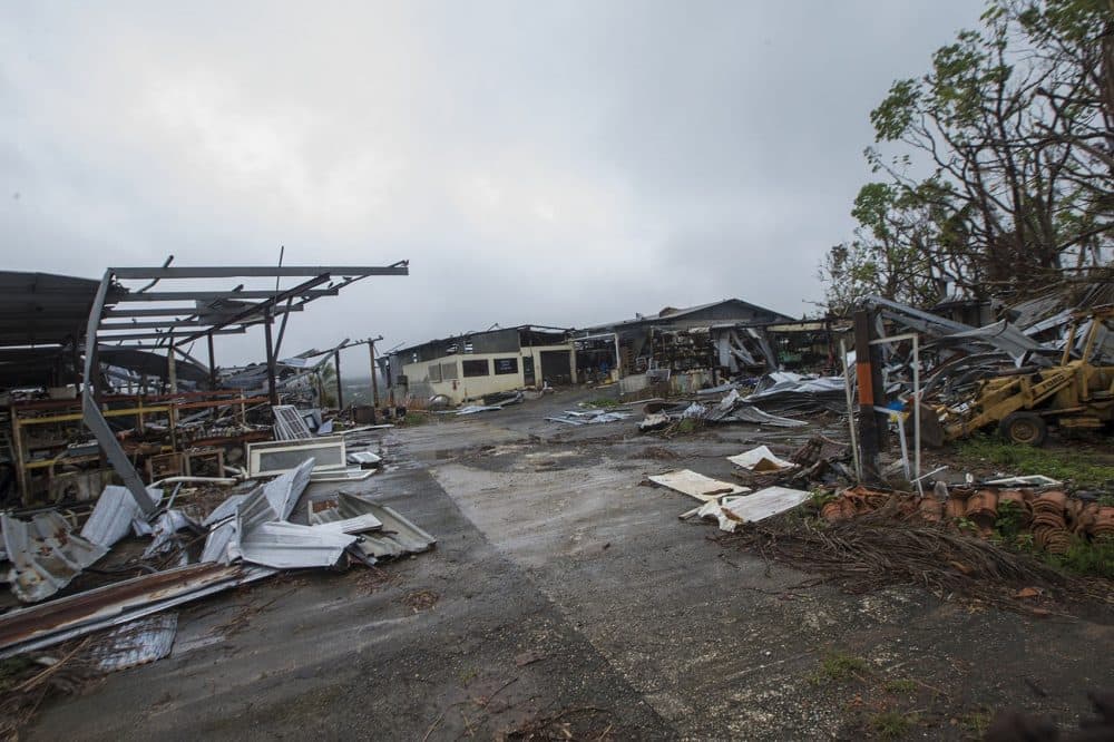 A lumberyard owned by Ivonne Beltran's family in Corozal was completely destroyed by Hurricane Maria. (Jesse Costa/WBUR)
