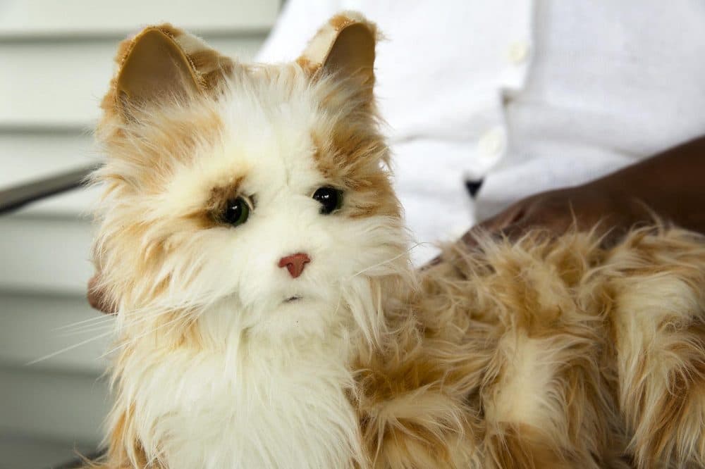 Milo, the robotic cat (Robin Lubbock/WBUR)