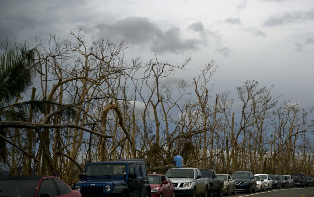 People queue with their cars to get gasoline after the passing of Hurricane Maria, in Morovis, Puerto Rico, Saturday, Sept. 30, 2017. FEMA chief Brock Long said the agency has worked to fix roads, establish emergency power and deliver fuel to hospitals. He said telecommunications are available to about one-third of the island. (Ramon Espinosa/AP)