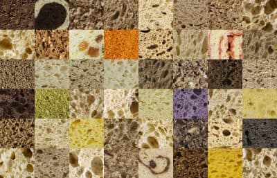 A compilation of different types of bread. (Courtesy, Modernist Bread)