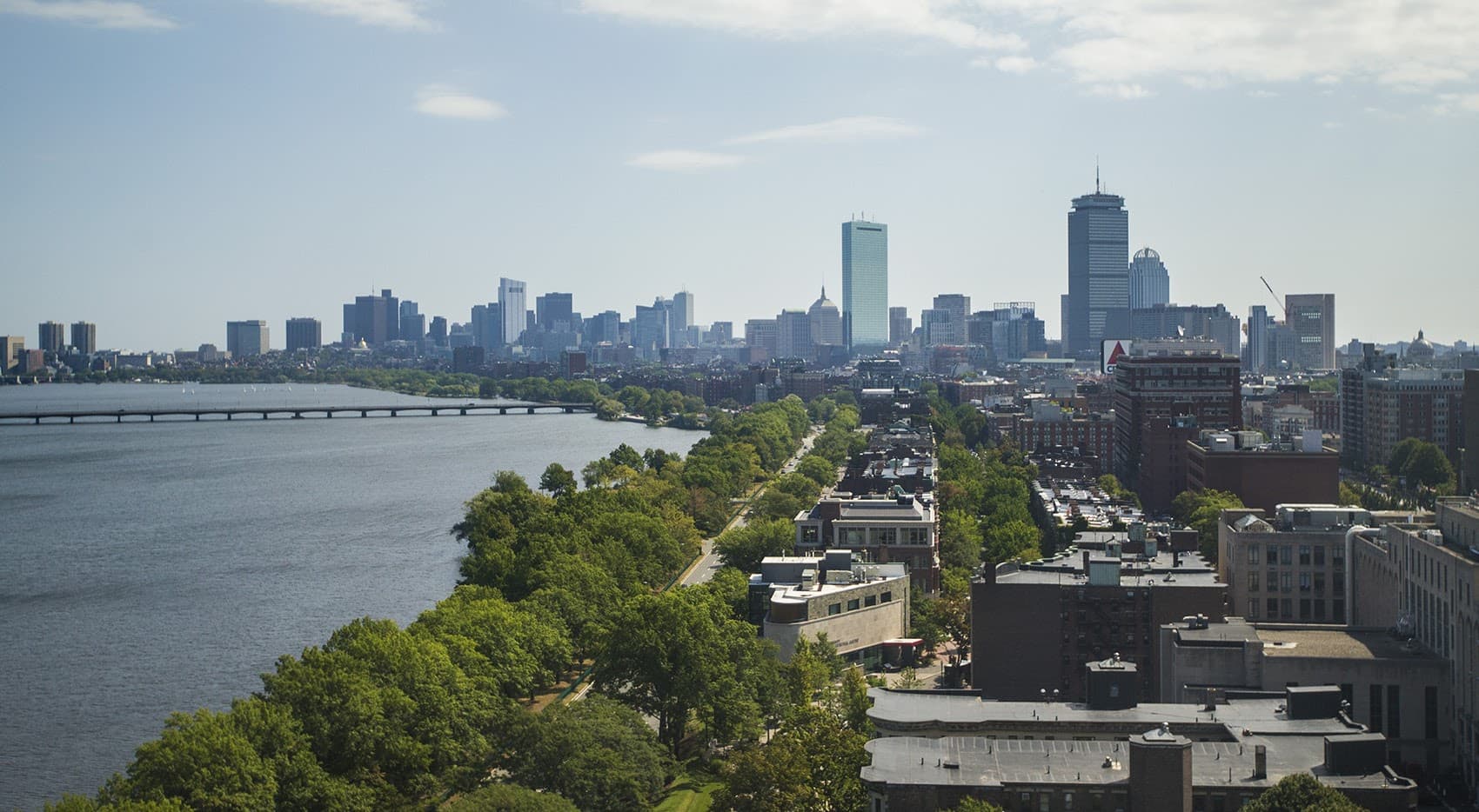 The Boston skyline. (Jesse Costa/WBUR)