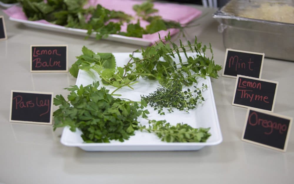 The kids learn how to turn their herbs into pesto. (Jesse Costa/WBUR)