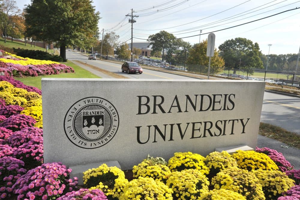 A sign marks the entrance of Brandeis University in Waltham, Mass. in 2010. (Josh Reynolds/AP)