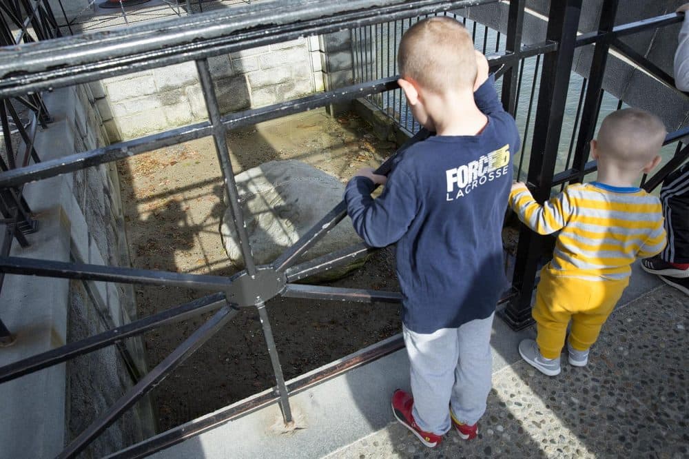 Young visitors to Pilgrim Memorial State Park in Massachusetts look through the railings at Plymouth Rock. (Robin Lubbock/WBUR)