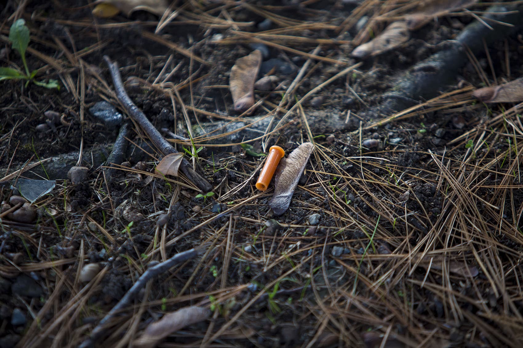 A syringe cap is found on the ground within a block away from the Orchard Gardens K-8 Pilot School. (Jesse Costa/WBUR)