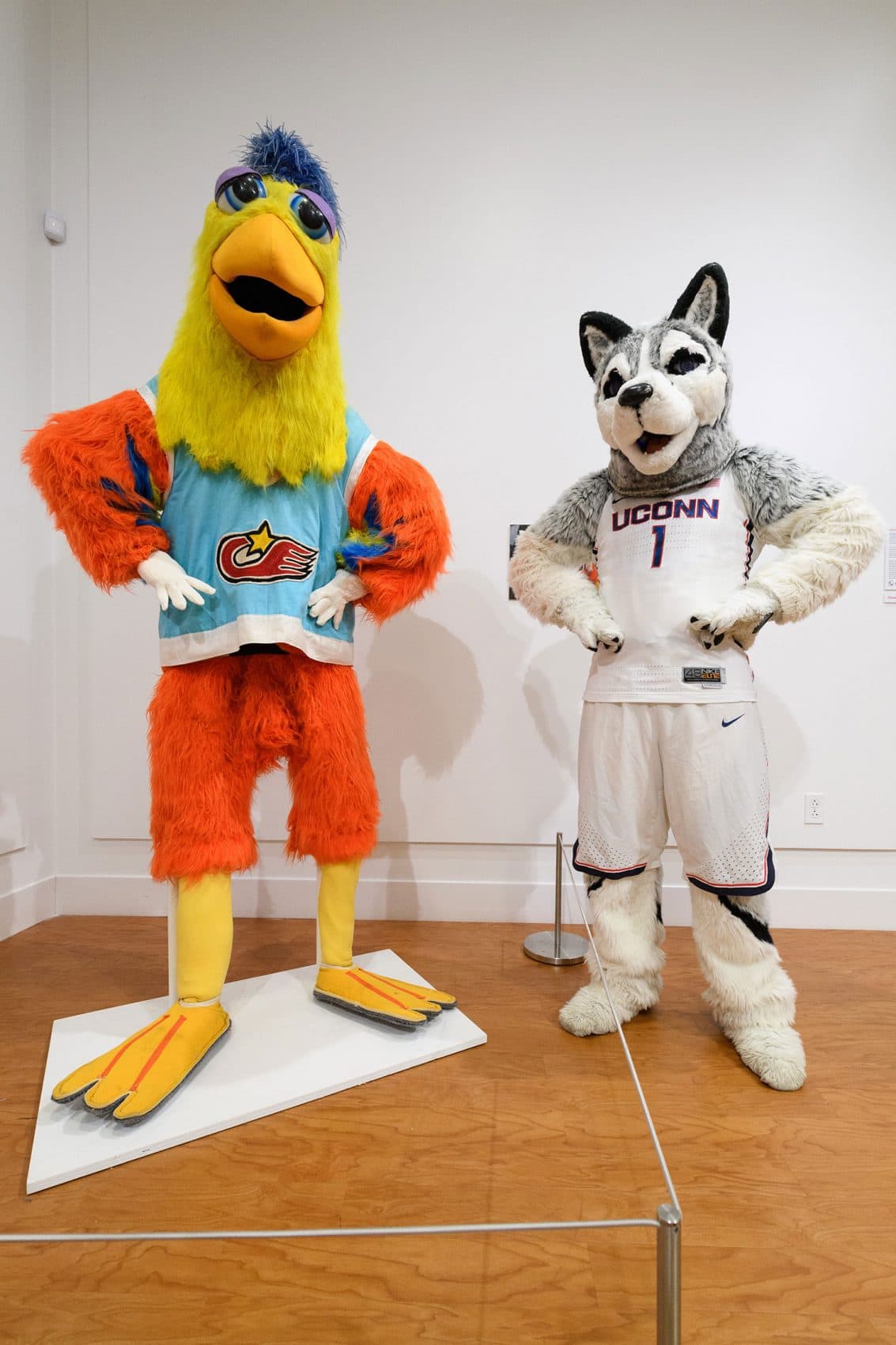 Mascots: Old and New