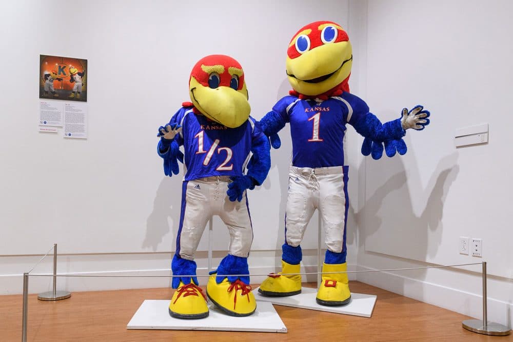 Baby Jay (left) and Big Jay from the University of Kansas at Lawrence. “Baby Jay is more playful and goofy and happy. Big Jay is more serious,” Bell says. (Courtesy Ballard Institute and Museum)