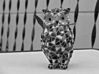 Mourning My Mother And Bequeathing Her Mighty Flock