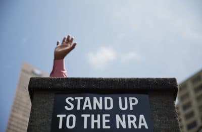 To Pass Gun Control, We Need To Act Like The NRA