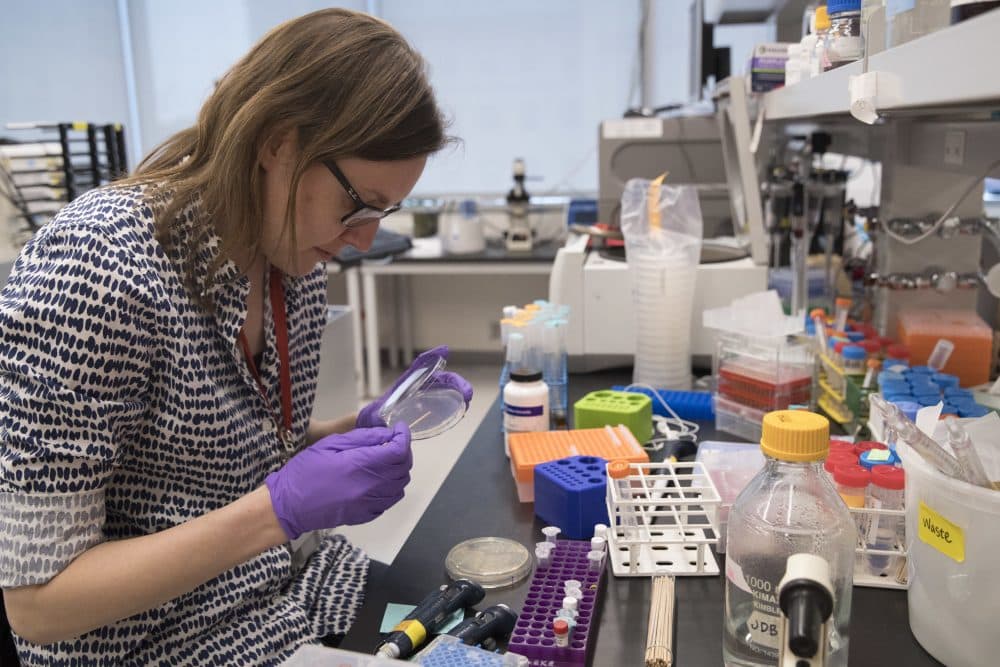 In this Tuesday, April 25, 2017 photo, post doctoral fellow Leslie Mitchell, works at her bench at a New York University lab in the Alexandria Center for Life Sciences in New York, where researchers are attempting to create completely man-made, custom-built DNA. Mitchell says it took her a couple months to build her chromosome but longer to debug. &quot;The tiniest change in the code can have dramatic effect on growth,” she said. “We are learning new rules about how cells operate by building from scratch.&quot; (AP Photo/Mary Altaffer)