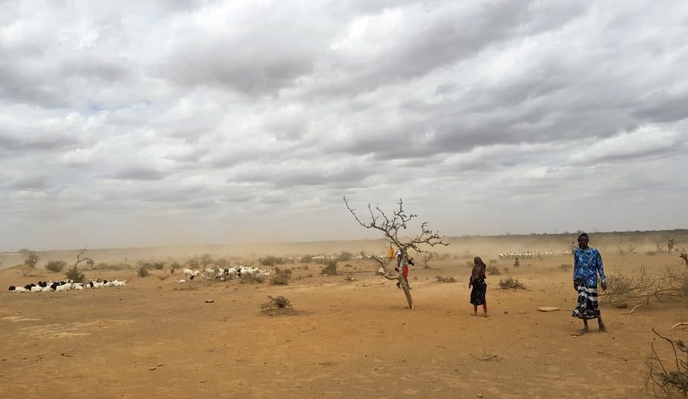 In this photo taken Sunday, Sept. 3, 2017, dust clouds blow across the parched landscape in the Danan district of the Somali region of Ethiopia, which hasn't seen significant amounts of rain in the past three years. Despite economic growth in the past decade that has made Ethiopia one of Africa's fastest-developing countries, rural areas are suffering as the nation faces its worst drought in years. (Elias Meseret/AP)