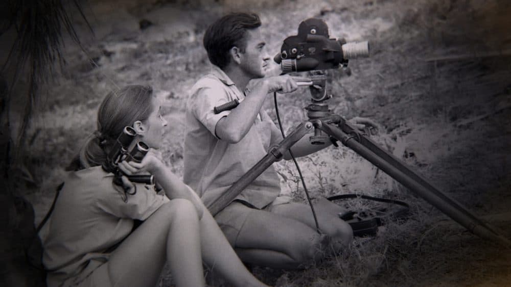 Jane Goodall watches as Hugo van Lawick operates a film camera. (Courtesy Jane Goodall Institute)