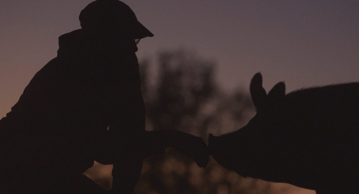 A still from "The Last Pig." Courtesy Allison Argo)