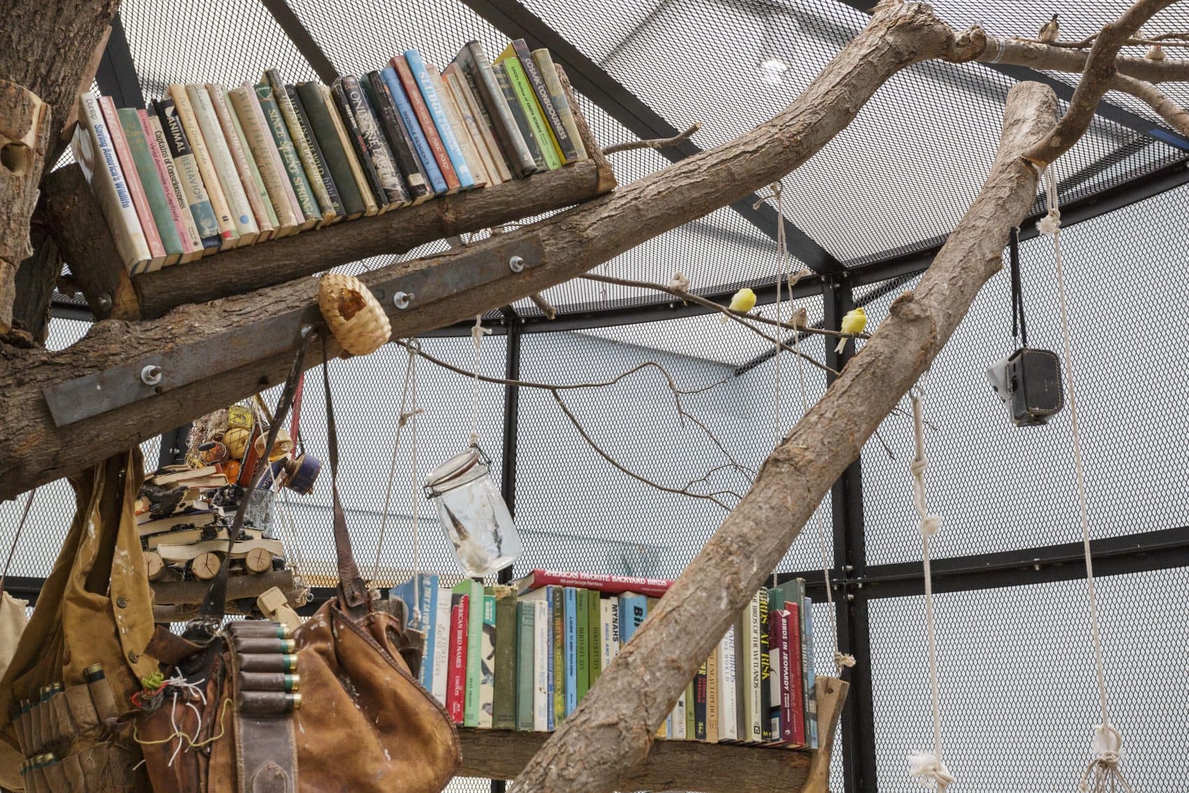 A section of Mark Dion's exhibition at the ICA. (John Kennard/Institute of Contemporary Arts)
