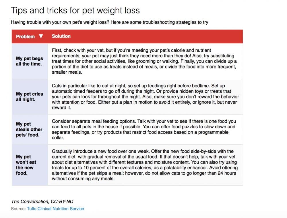 Tufts tips for pets that overeat (Courtesy Tufts Clinical Nutrition Service)