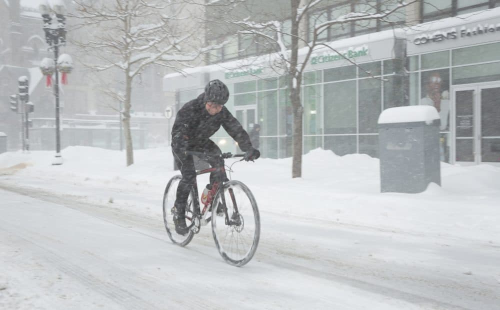 A cyclist finds a recently shoveled lane of Boylston Street to cycle along. (Robin Lubbock/WBUR)